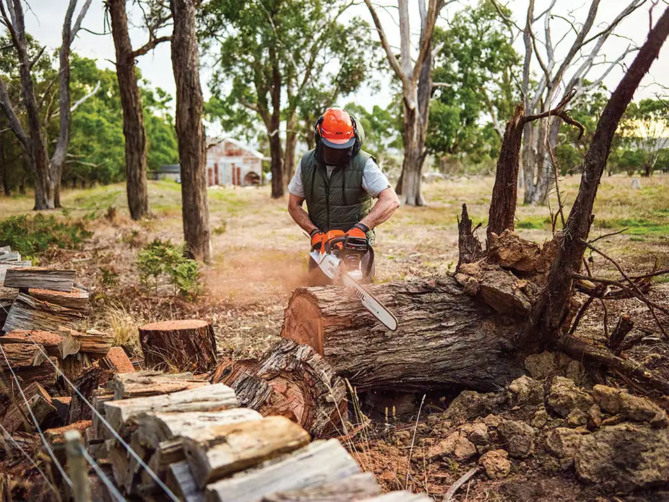 Powerful STIHL Chainsaws in Rockhampton - Rimrock Agencies